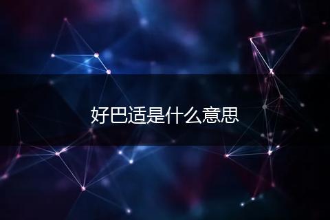 好巴适是什么意思