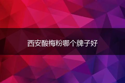 西安酸梅粉哪个牌子好