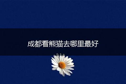 成都看熊猫去哪里最好
