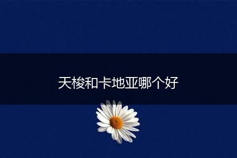 天梭和卡地亚哪个好