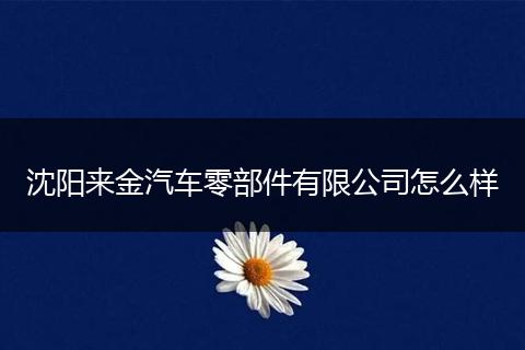 沈阳来金汽车零部件有限公司怎么样