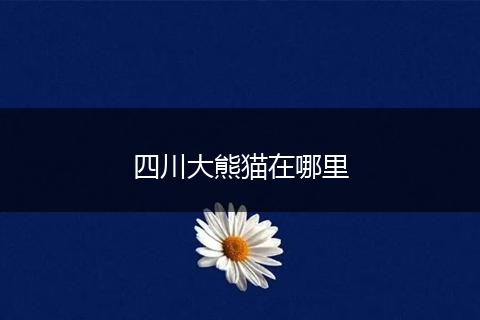 四川大熊猫在哪里