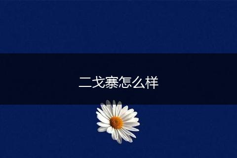 二戈寨怎么样