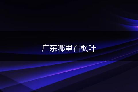广东哪里看枫叶