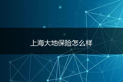 上海大地保险怎么样