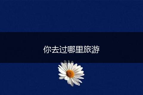你去过哪里旅游