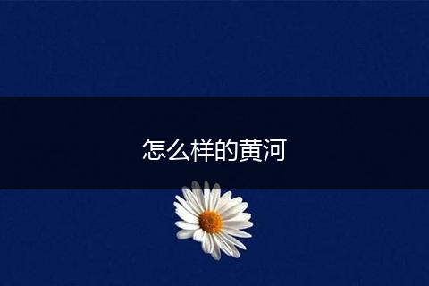 怎么样的黄河