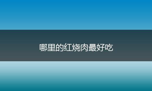 哪里的红烧肉最好吃