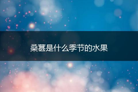 桑葚是什么季节的水果