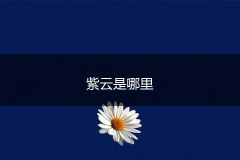 紫云是哪里
