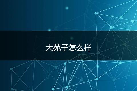 大苑子怎么样