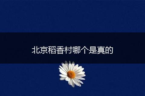 北京稻香村哪个是真的