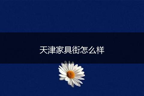 天津家具街怎么样