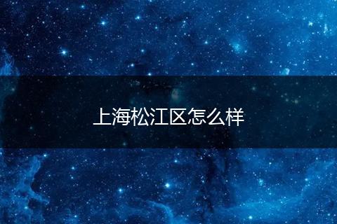 上海松江区怎么样