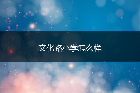 文化路小学怎么样