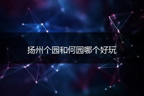 扬州个园和何园哪个好玩