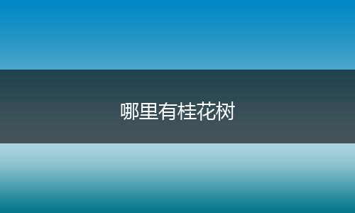 哪里有桂花树