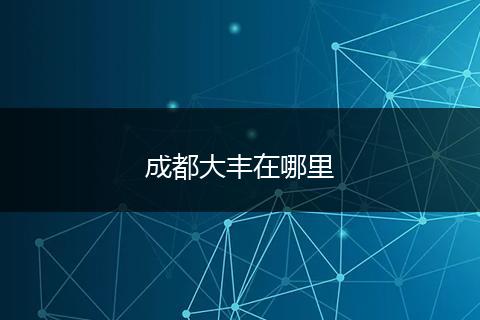成都大丰在哪里