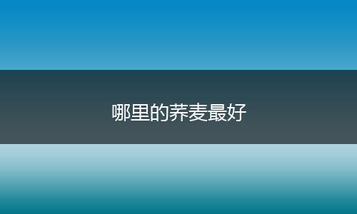 哪里的荞麦最好