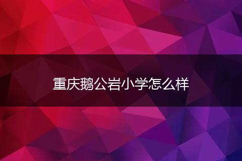 重庆鹅公岩小学怎么样