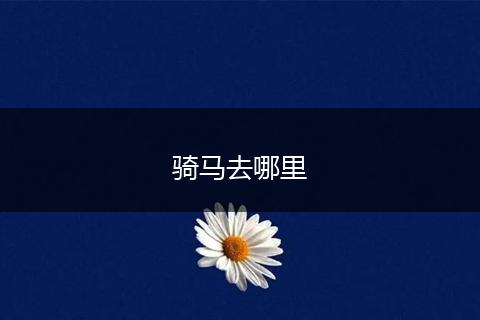 骑马去哪里
