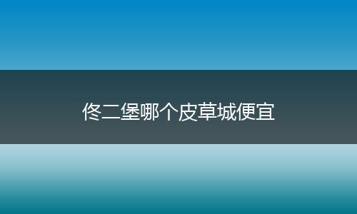 佟二堡哪个皮草城便宜