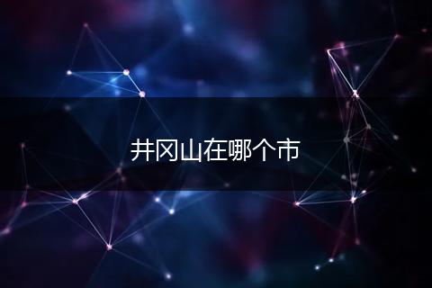 井冈山在哪个市