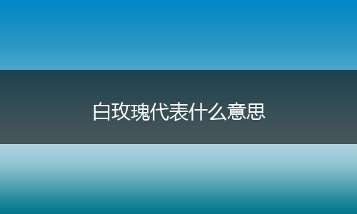 白玫瑰代表什么意思