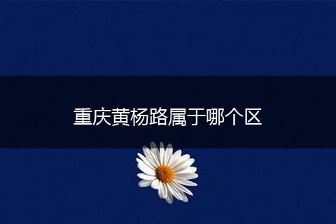 重庆黄杨路属于哪个区