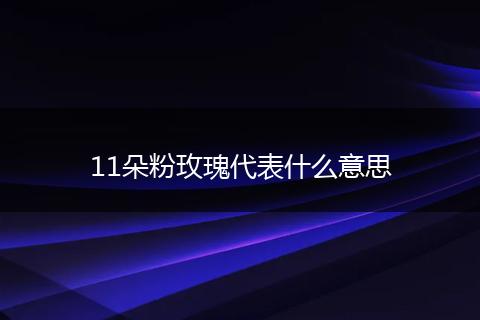 11朵粉玫瑰代表什么意思