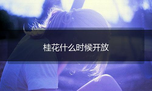 桂花什么时候开放