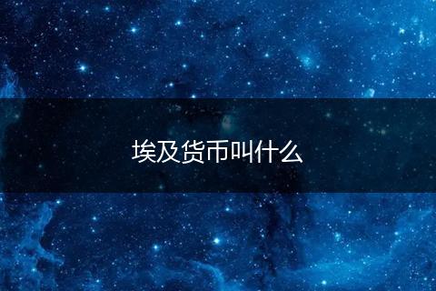 埃及货币叫什么