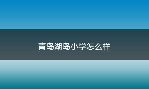 青岛湖岛小学怎么样