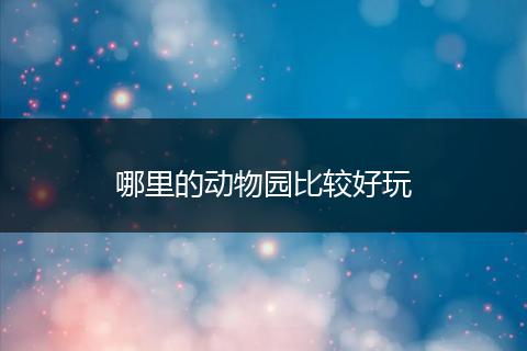 哪里的动物园比较好玩