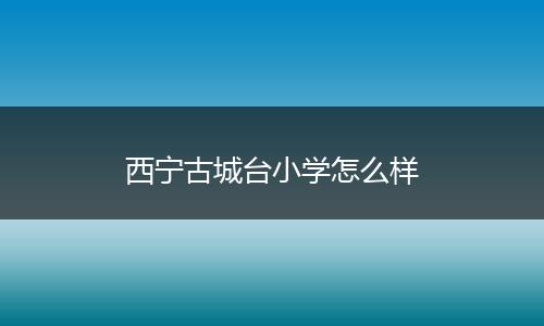 西宁古城台小学怎么样