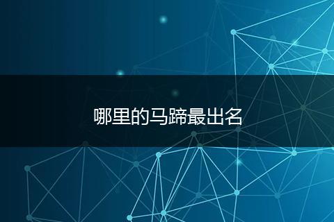 哪里的马蹄最出名