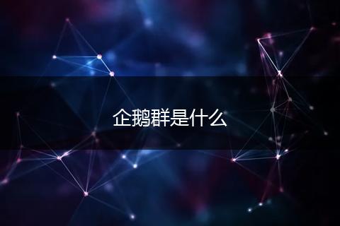 企鹅群是什么