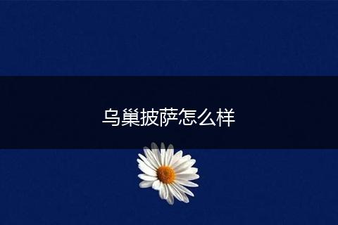 乌巢披萨怎么样
