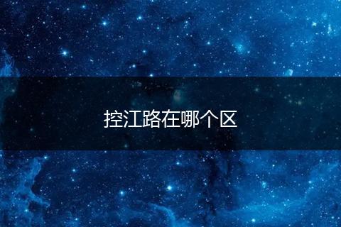 控江路在哪个区