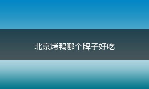 北京烤鸭哪个牌子好吃