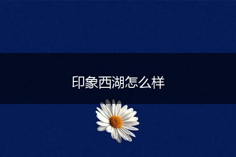 印象西湖怎么样