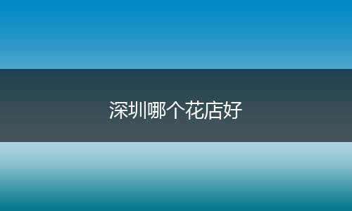 深圳哪个花店好