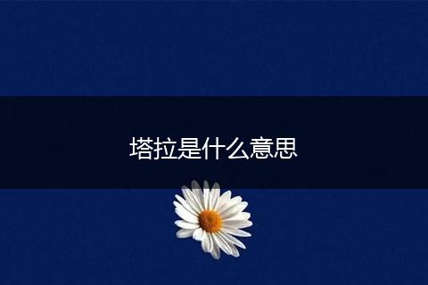 塔拉是什么意思