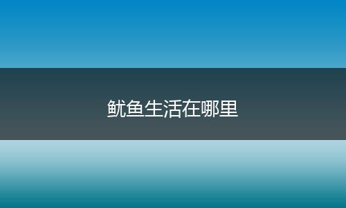 鱿鱼生活在哪里