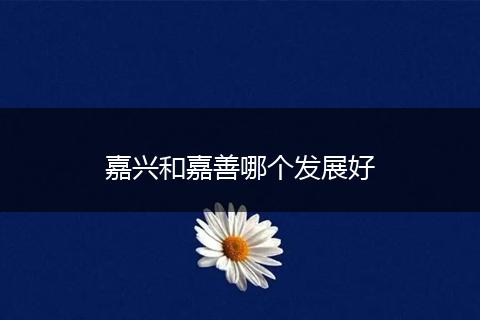 嘉兴和嘉善哪个发展好