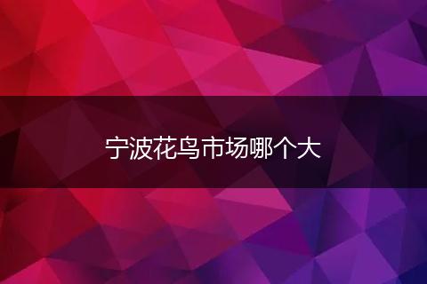 宁波花鸟市场哪个大