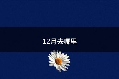 12月去哪里