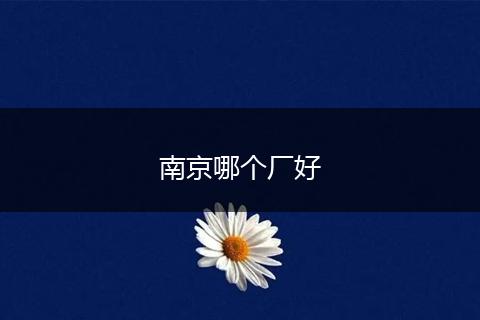 南京哪个厂好