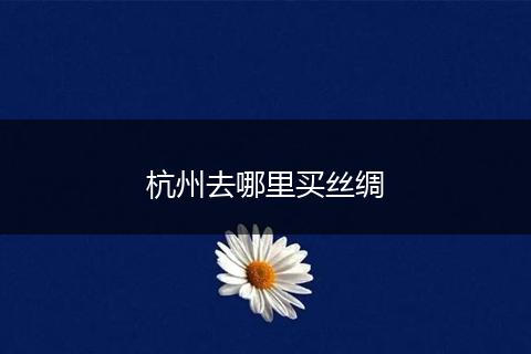 杭州去哪里买丝绸