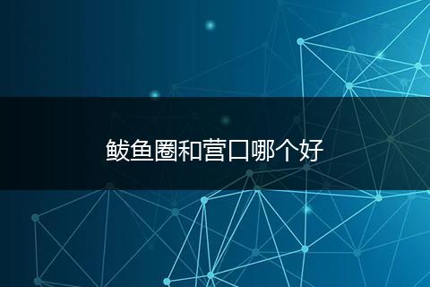 鲅鱼圈和营口哪个好